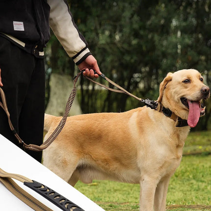 Reflective Shock Absorbing Pet Leashes with Car Seatbelt for Large Dogs
