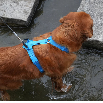 SMALL COMBINATION Pet Harness No Pull Adjustable Comfortable Control