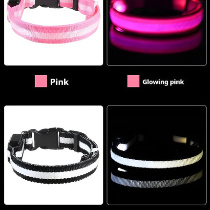 Dog Collar Nylon LED Night Safety