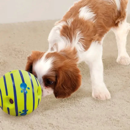 Dog Toy Balls