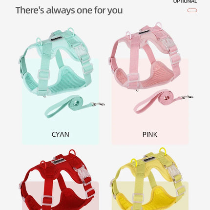 Colorful Lightweight Dog Harness for Small Breeds