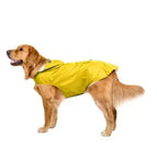 yellow / S