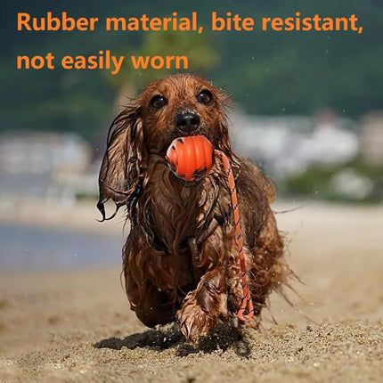 Dog Ball Toys Bouncy Rubber Ball