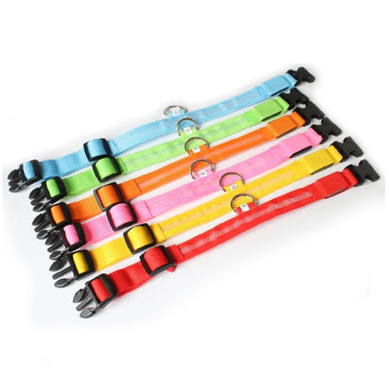 Led Dog Collar USB Charging/Battery