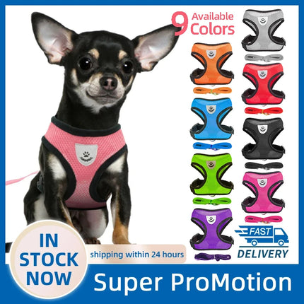 Dog Harness Walking Lead Leash For Small Dogs