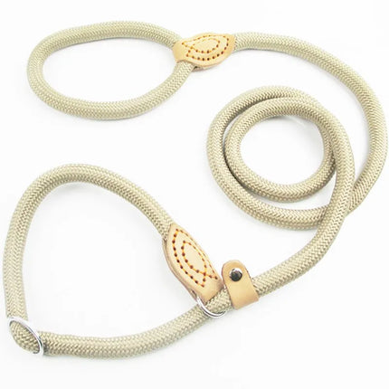 Dog Walking Leash Slip Rope Adjustable Loop Collar Training Leashes for Large Dogs