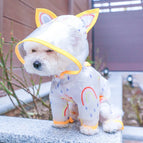 Yellow / XS / CHINA