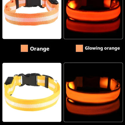 Dog Collar Nylon LED Night Safety