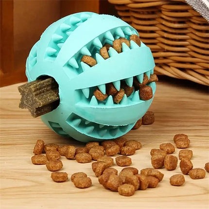 Rubber Balls Puppy Chewing