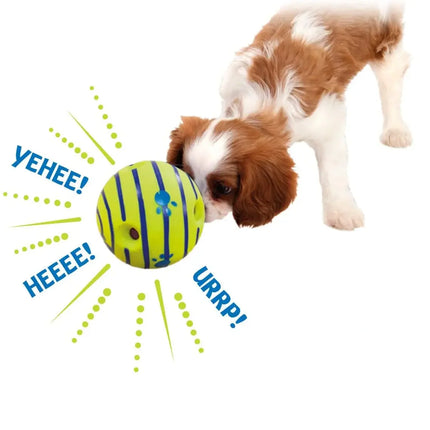 Dog Toy Balls