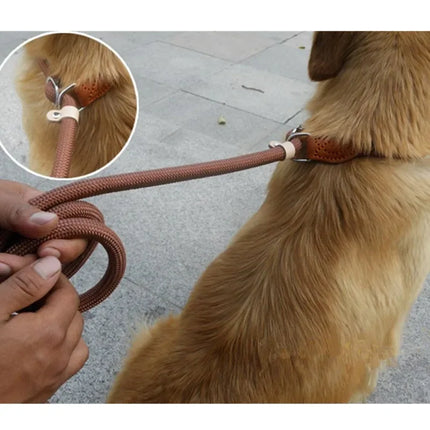 Dog Walking Leash Slip Rope Adjustable Loop Collar Training Leashes for Large Dogs