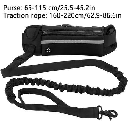 Hands Free Dog Leash for Running Walking