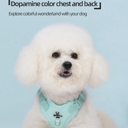 Colorful Lightweight Dog Harness for Small Breeds