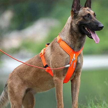 SMALL COMBINATION Pet Harness No Pull Adjustable Comfortable Control