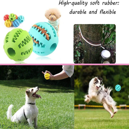 Rubber Balls Puppy Chewing