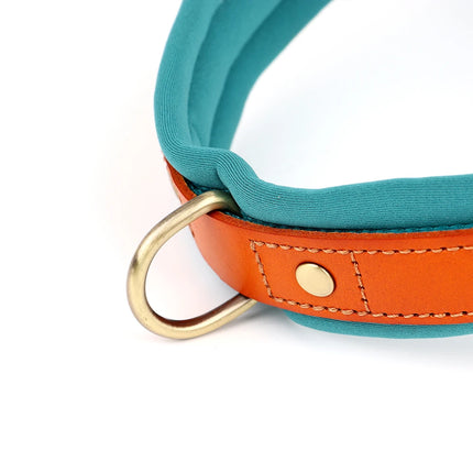 No Pull Dog Harness Soft Padded