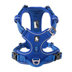 ROYALBLUE / S / CHINA
