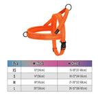 044 Orange / XL
