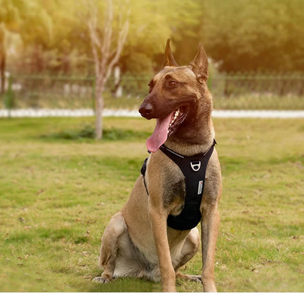TRUE LOVE Pet Harness No Pull  Comfortable Control
