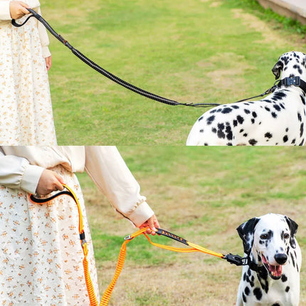 Heavy Duty Dog Leash with Elastic Bungee for Medium & Large Dogs