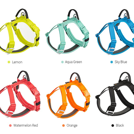 SMALL COMBINATION Pet Harness No Pull Adjustable Comfortable Control