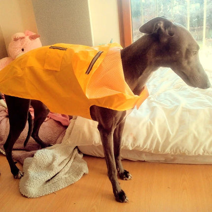 Dog Raincoat Waterproof Hoodie Jacket Rain Poncho