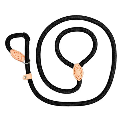 Dog Walking Leash Slip Rope Adjustable Loop Collar Training Leashes for Large Dogs
