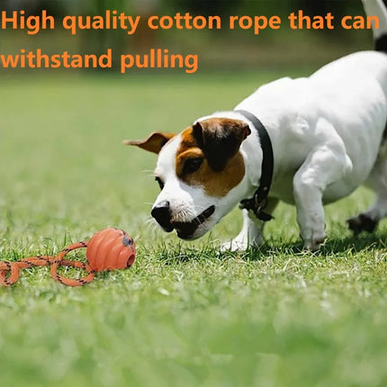 Dog Ball Toys Bouncy Rubber Ball