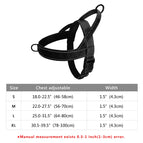 041 Black / L