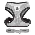 Grey / L(4-6 kg)