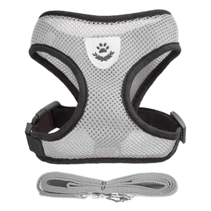 Dog Harness Walking Lead Leash For Small Dogs