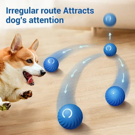 Dog Toy Ball Automatic Moving