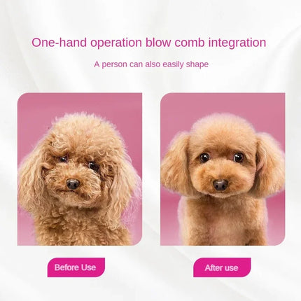 2 in 1 Pet Hair Dryer Soft Combing 110V , 220V