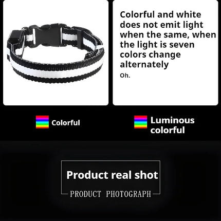 Dog Collar Nylon LED Night Safety