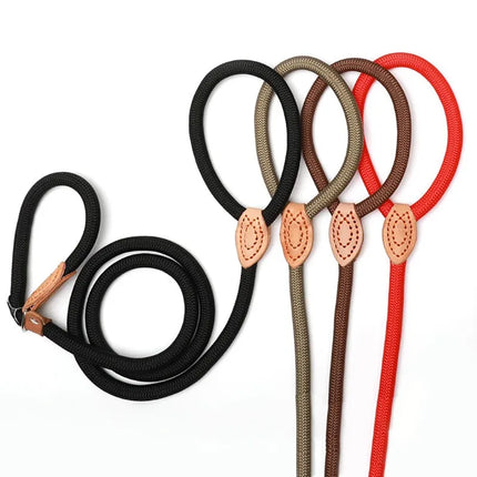 Dog Walking Leash Slip Rope Adjustable Loop Collar Training Leashes for Large Dogs