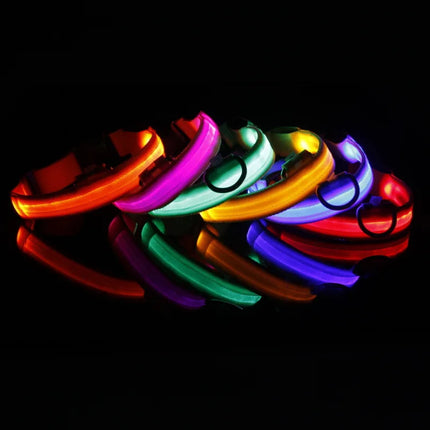 Led Dog Collar USB Charging/Battery