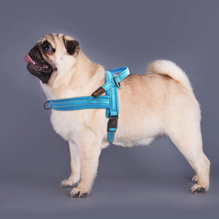 No Pull Dog Harness Soft Padded