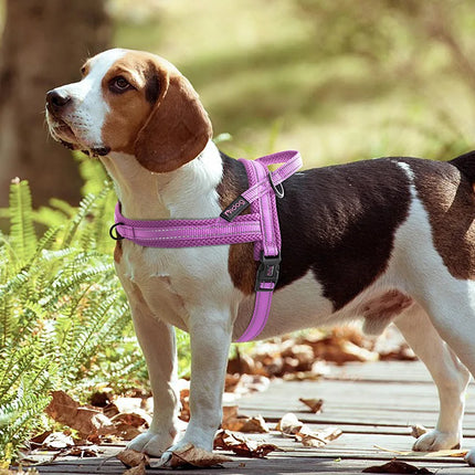 Reflective Dog Harness No Pull Dog Harnesses
