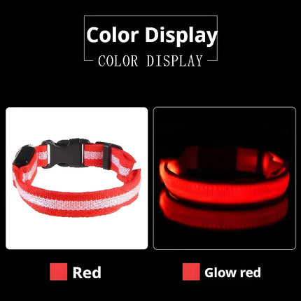 Dog Collar Nylon LED Night Safety
