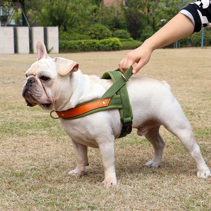 No Pull Dog Harness Soft Padded