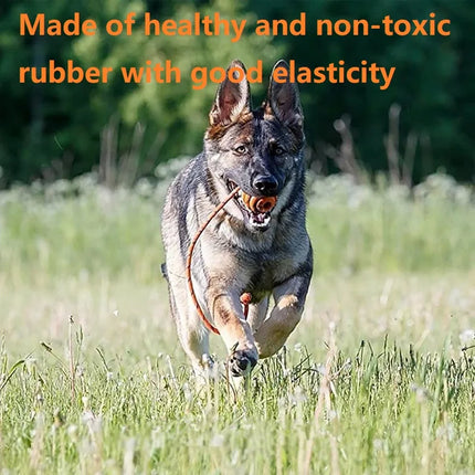 Dog Ball Toys Bouncy Rubber Ball