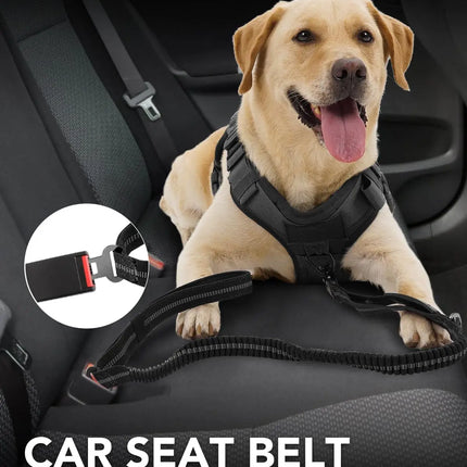 Heavy Duty Dog Leash with Elastic Bungee for Medium & Large Dogs