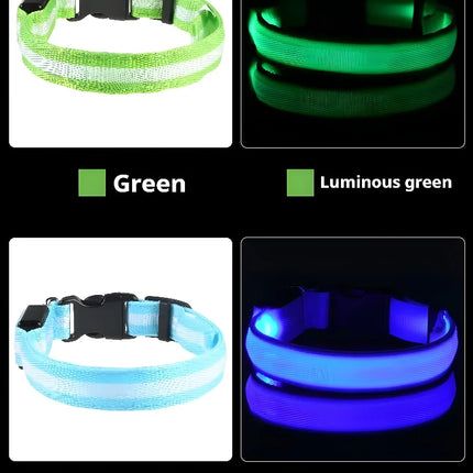 Dog Collar Nylon LED Night Safety