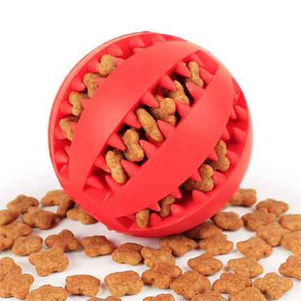 Rubber Balls Puppy Chewing