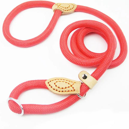 Dog Walking Leash Slip Rope Adjustable Loop Collar Training Leashes for Large Dogs
