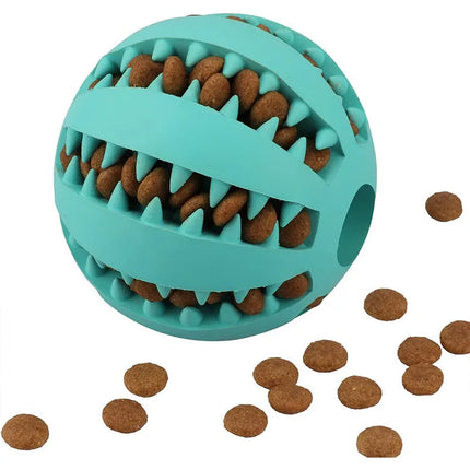 Rubber Balls Puppy Chewing