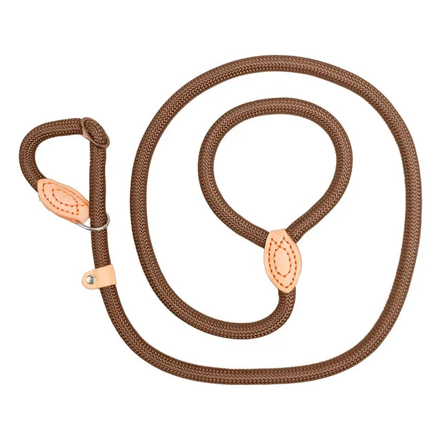 Dog Walking Leash Slip Rope Adjustable Loop Collar Training Leashes for Large Dogs