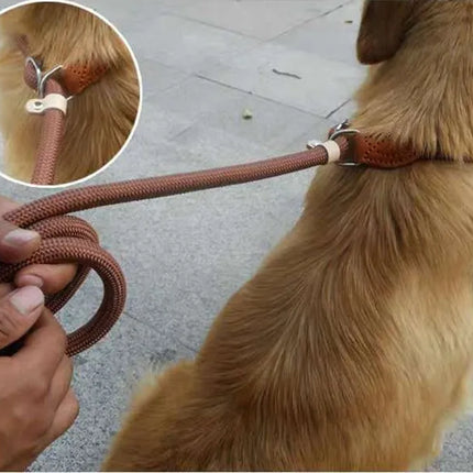 Dog Walking Leash Slip Rope Adjustable Loop Collar Training Leashes for Large Dogs