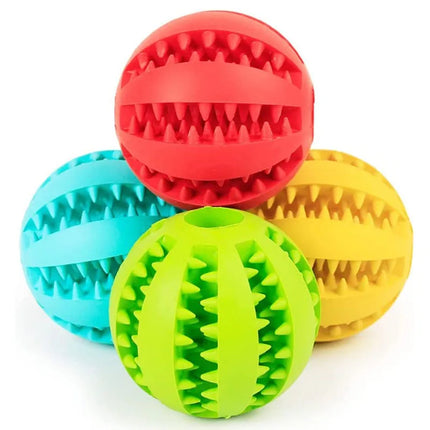 Rubber Balls Puppy Chewing