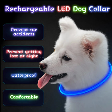 Pet Dog LED Light Collar